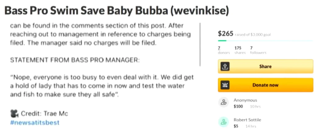 Wise's GoFundMe to cover the cost of TikTok fame.