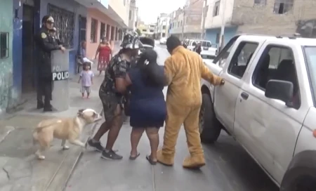 Teddy bear takes them down.